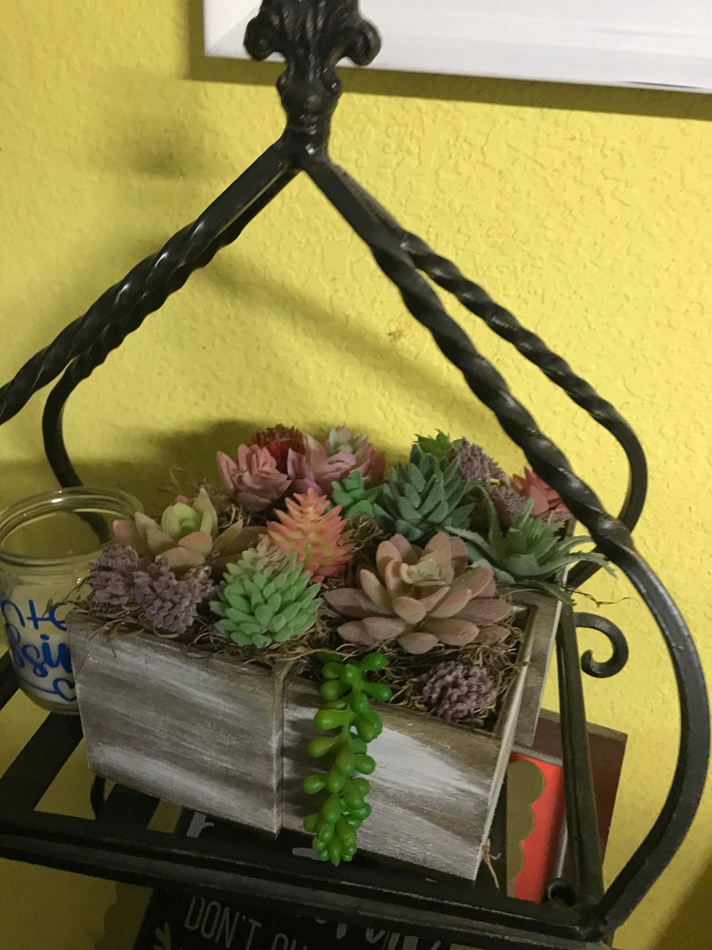 Succulent box